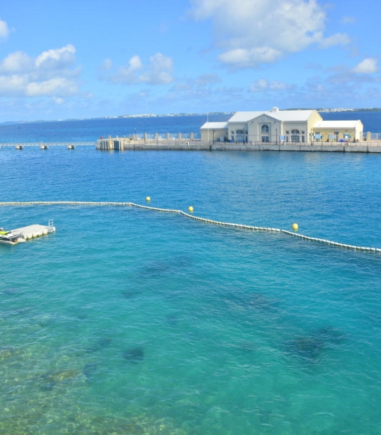 Dolphin Quest Bermuda – Dolphin Quest Ocean Sanctuary