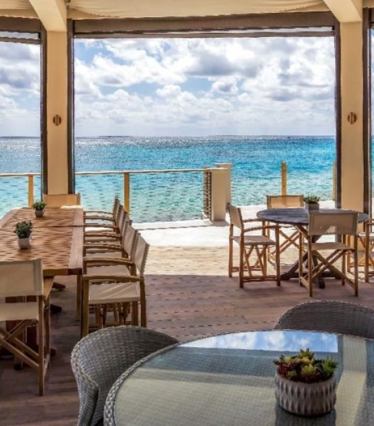 The Pink Beach Club – The Pink Beach Club