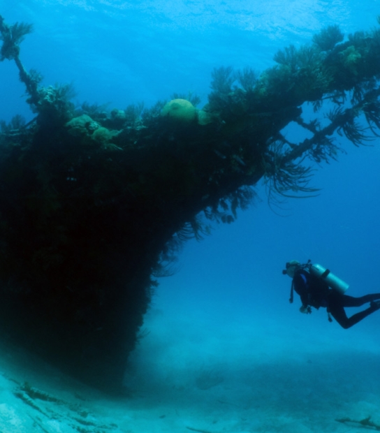 Blue Water Divers & Watersports – Wreck Dive