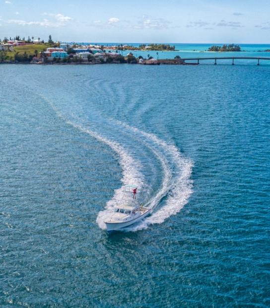 Sea Wolfe Sportfishing – Sea Wolfe Sportfishing