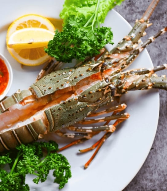 Battle Of The Lobster