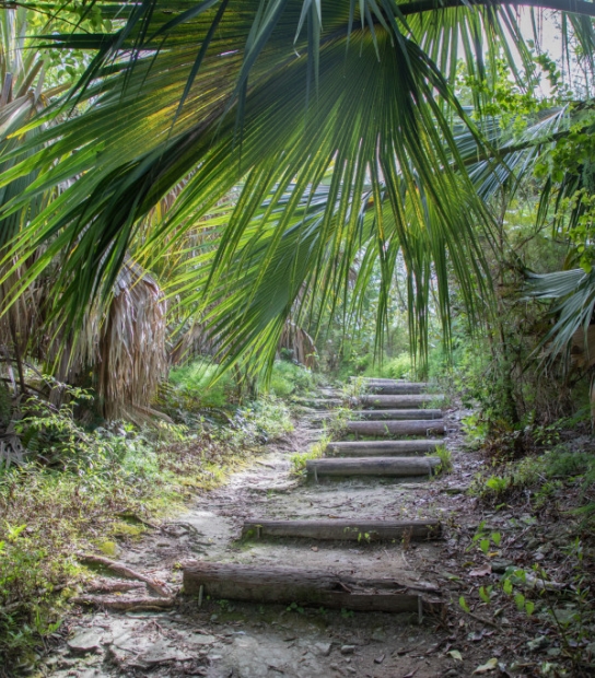 Sunday Walks With The Walking Club Of Bermuda