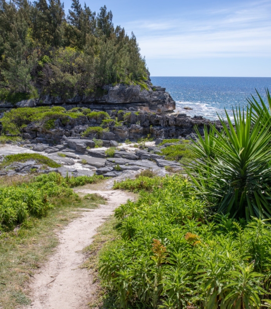 Spittal Pond Nature Reserve – Spittal Pond Trail