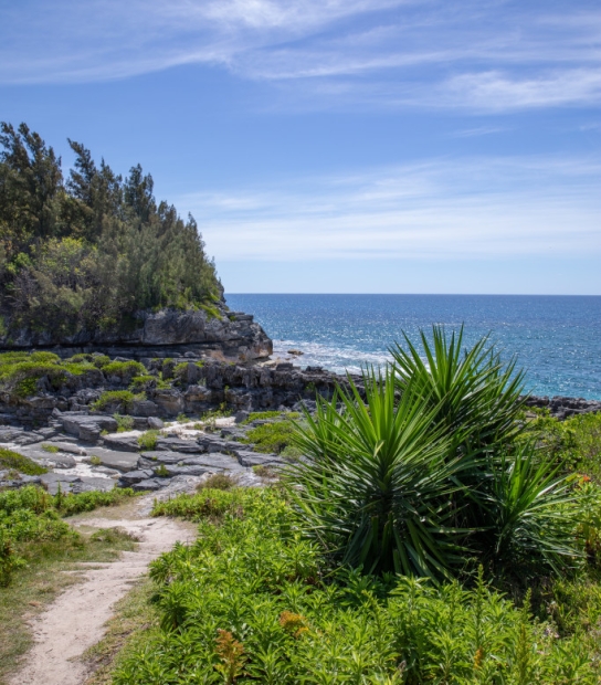 Sunday Walks With The Walking Club Of Bermuda