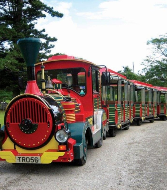 The Bermuda Train Company – Train1