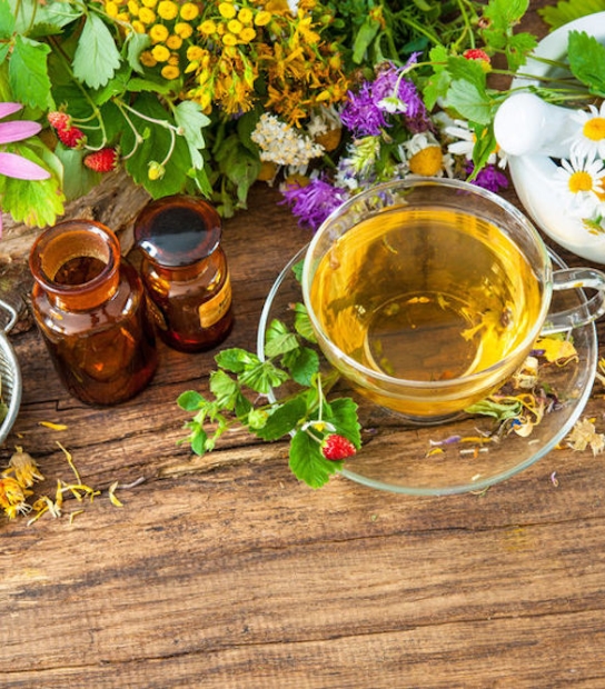 Wildcraft Herbal Remedies Experience