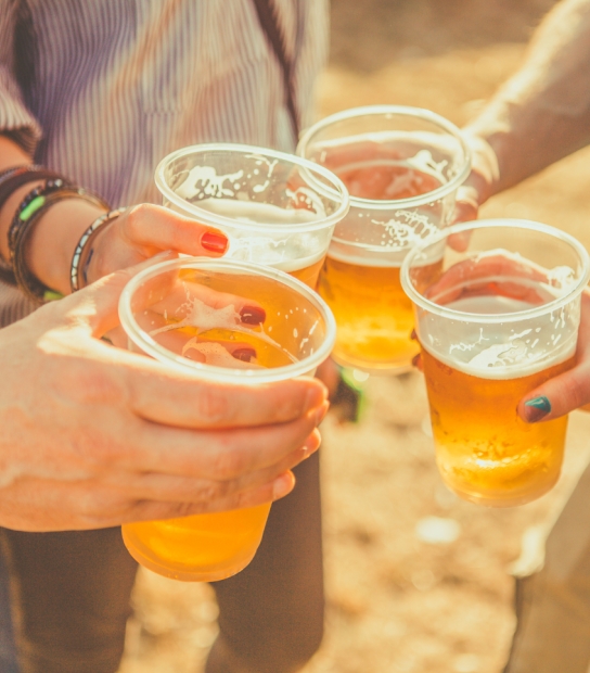 Beermuda
