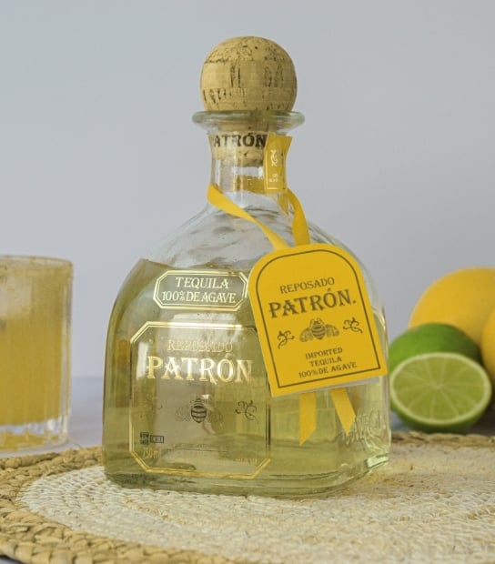SALT Patron Dinner Party