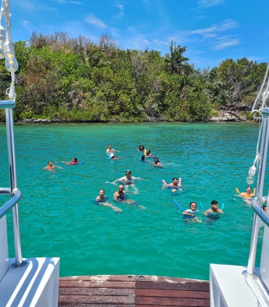 Double Dip Ultimate Swimming Cruise