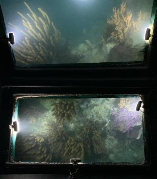 Bermuda Twilight Triangle Night Glass-Bottom Boat Cruise