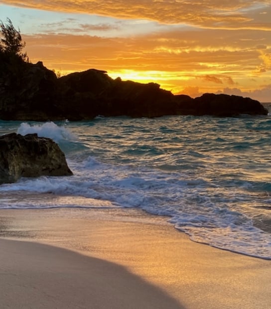Bermuda Plein Air Festival