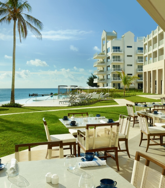 Lina – Lina Patio