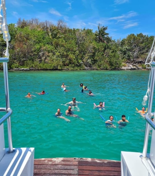 Bermuda Swimming Cruise To Paradise