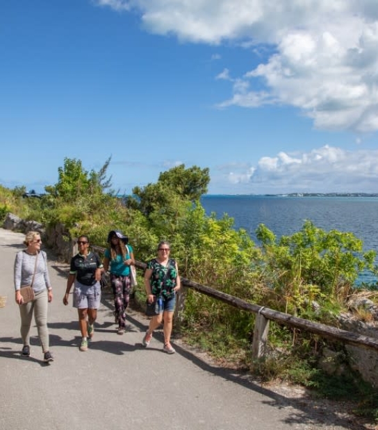 Sunday Walks With The Walking Club Of Bermuda