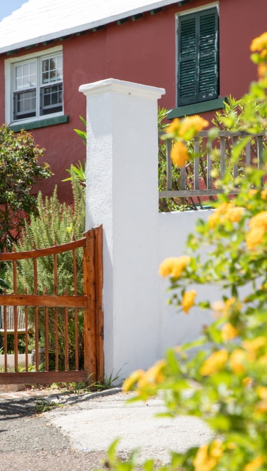 gate leading to house with yellow bush