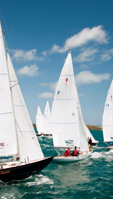 group of sailboats sailing on open waters