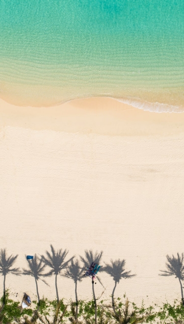 Aerial view of Bermuda beach