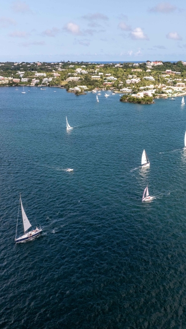 A group of boats are sailing on the hamilton harbour.