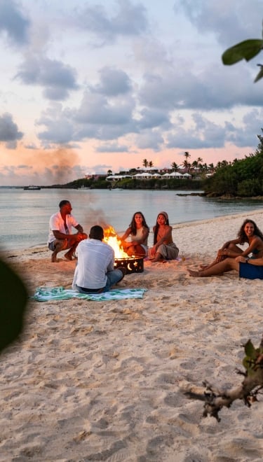 A group of people are on the beach by a bonfire.