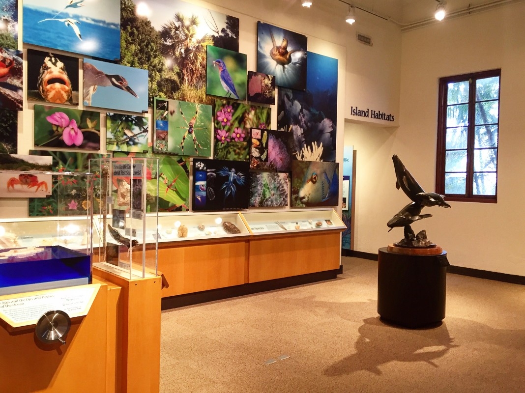 Bermuda Aquarium, Museum & Zoo (BAMZ) – Interior