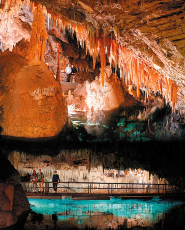 Bermuda Island Tours & More – Transport
