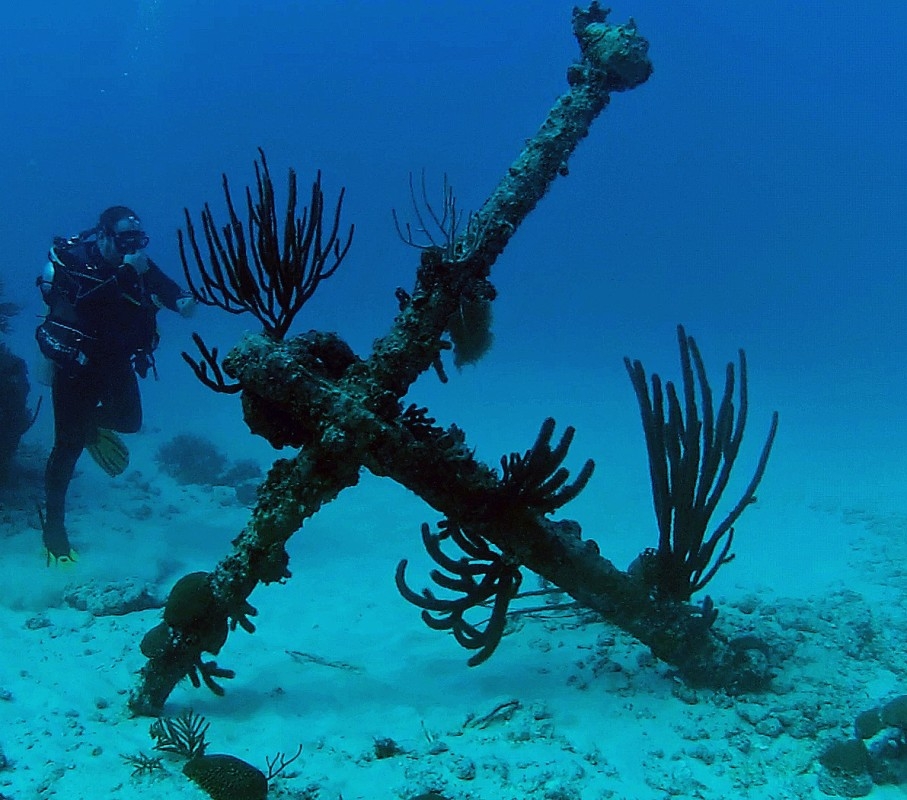Dive Bermuda at Fairmont Southampton – Dive Bermuda 1