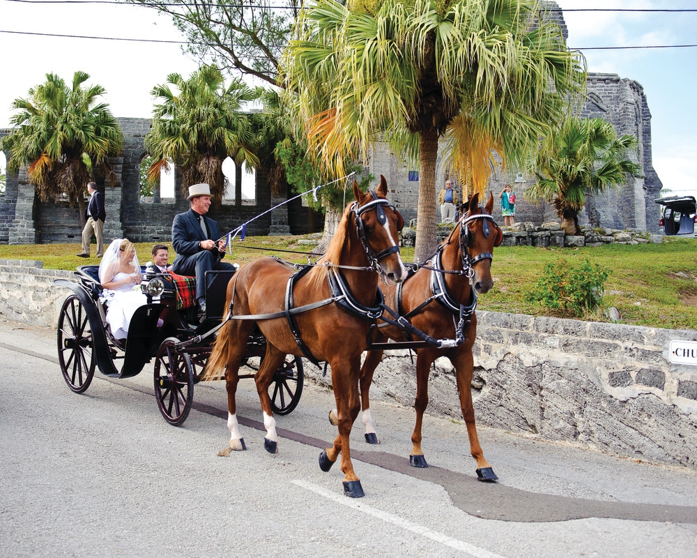 Bronco Stables Horse and Carriage Bermuda – Bronco