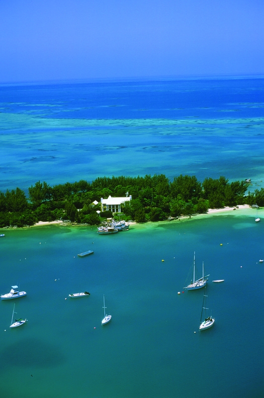 Mangrove Bay – Aerial Mangrove