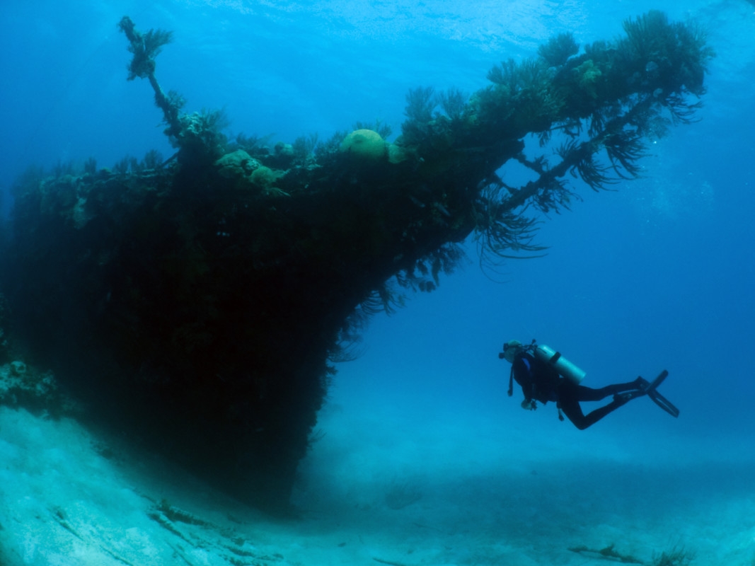 Blue Water Divers & Watersports – Wreck Dive
