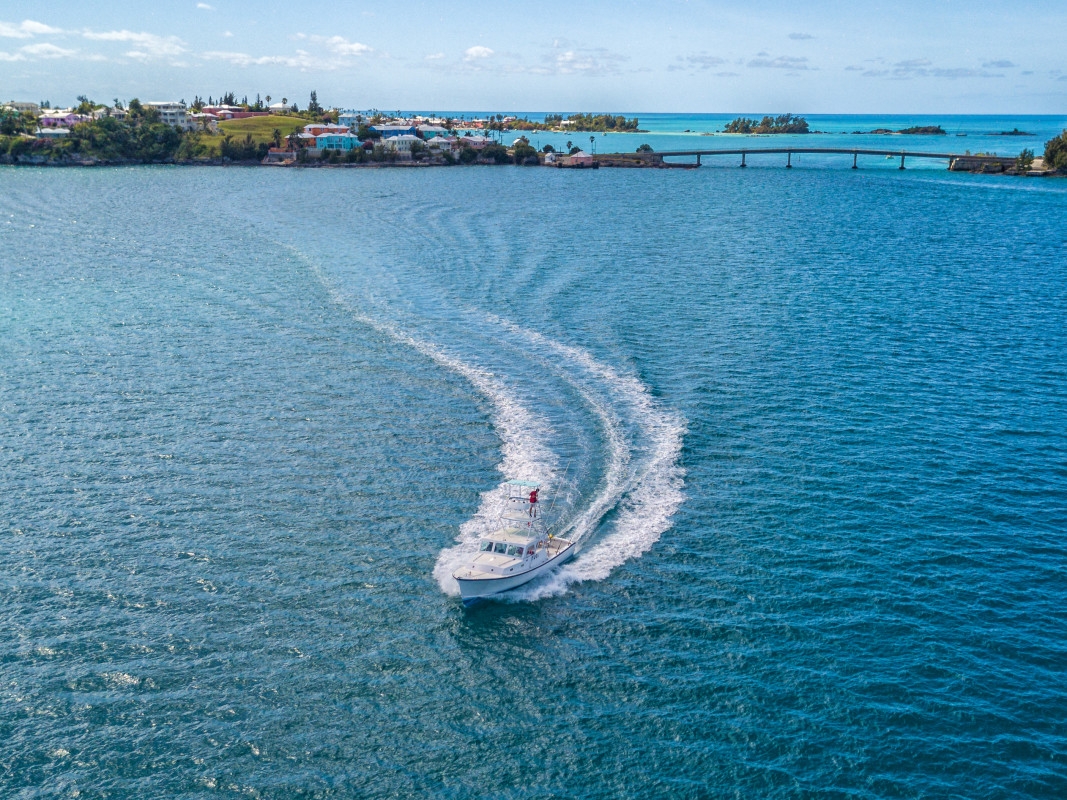 Sea Wolfe Sportfishing – Sea Wolfe Sportfishing