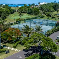 Two tennis courts surrounded by greenery