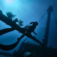 A person snorkelling in full scuba gear through deep Bermudian waters